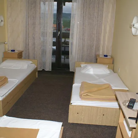 Izvor 住宿加早餐酒店 Kosjeric